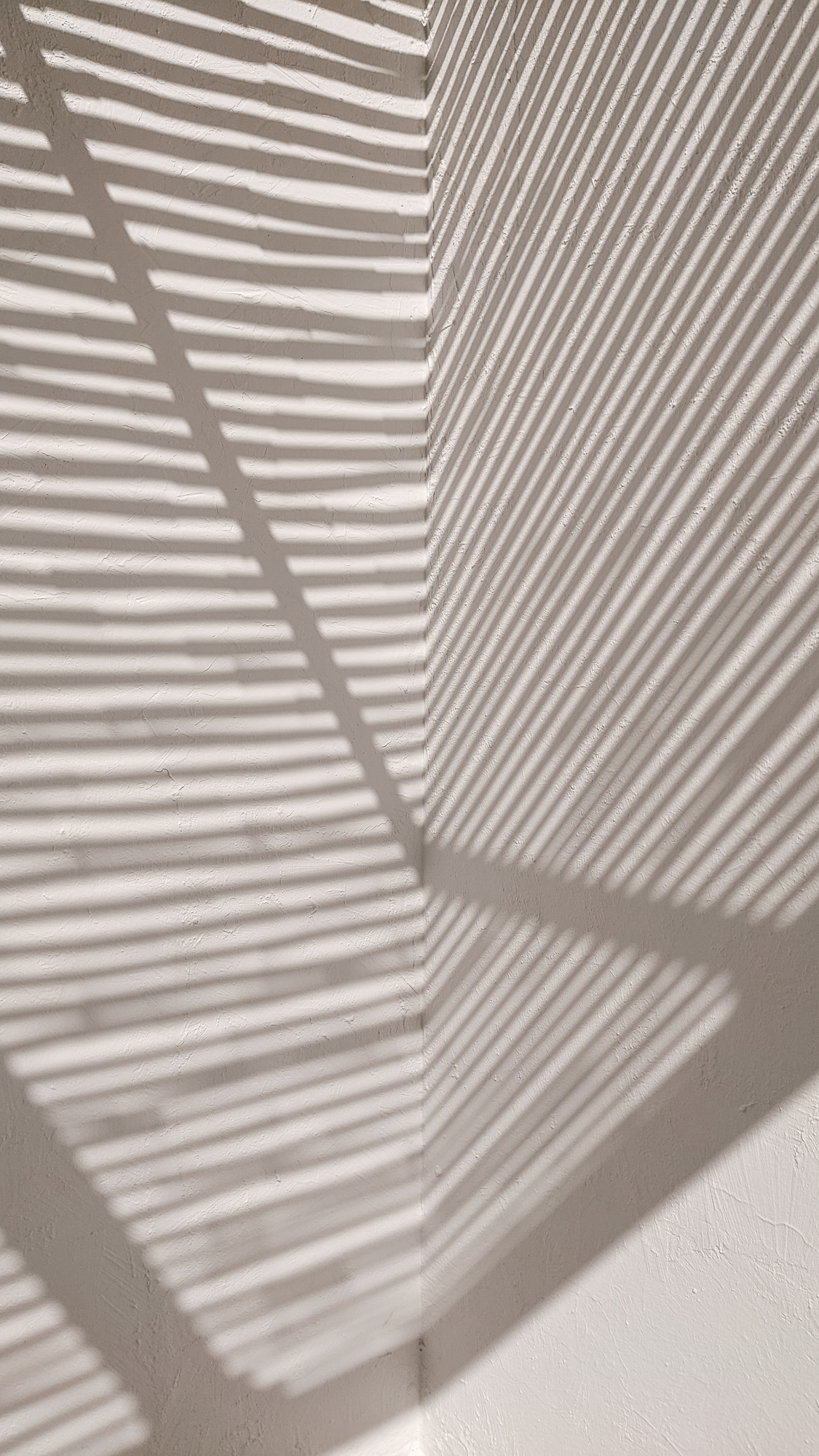 Creamy Light Aesthetic Summer Shadow Photo